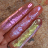 Galápagos Archipelago Palette