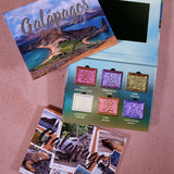 Galápagos Palette displayed on a pink textured surface, featuring the artistic packaging and an open palette with six shimmering shadow pans.