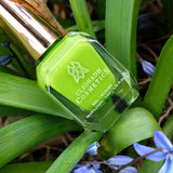 Buttercup Nail Lacquer bottle on top of greenery.